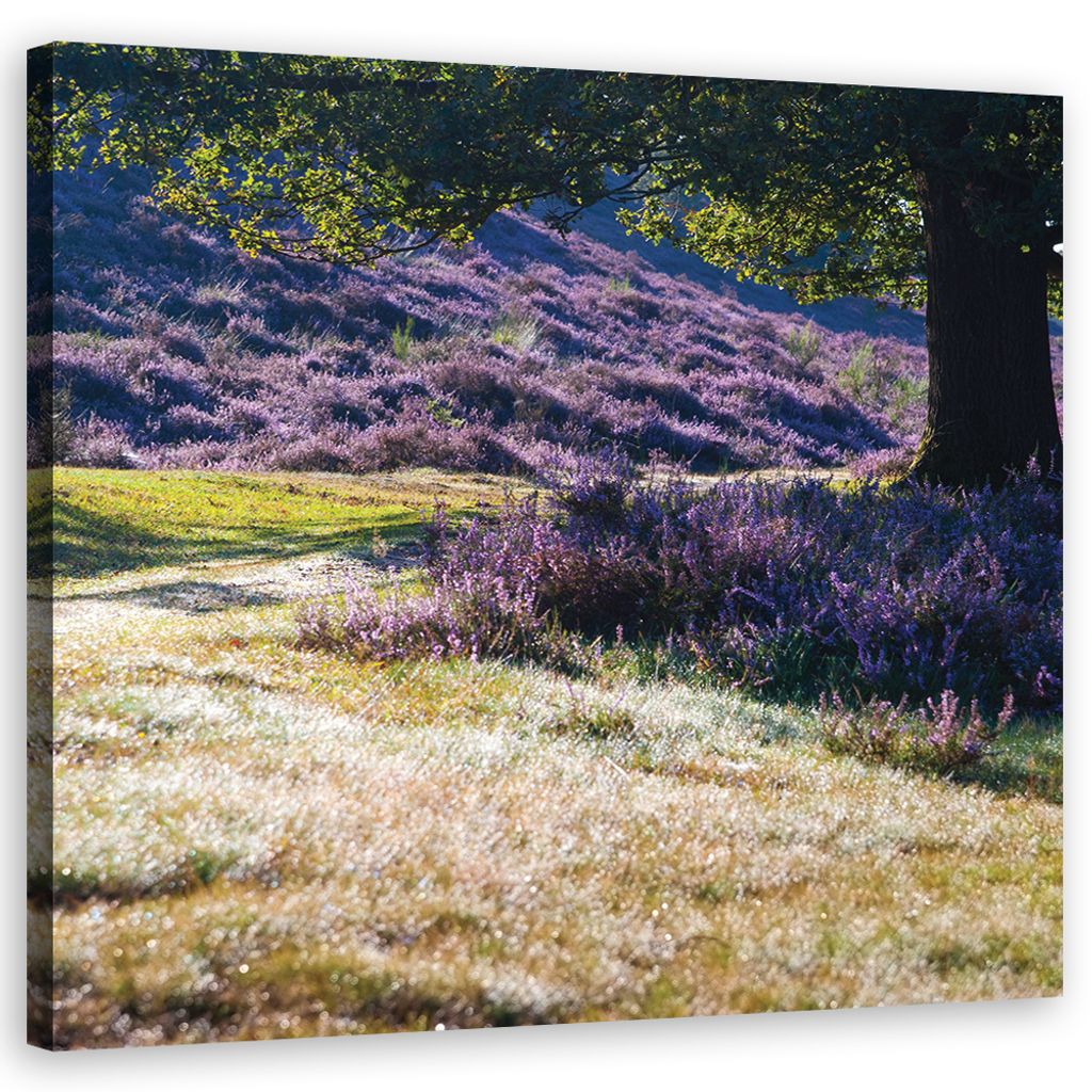 Leinwandbild landschaften - violett 30x30 cm Feeby lila wandbild bereit zum aufhängen