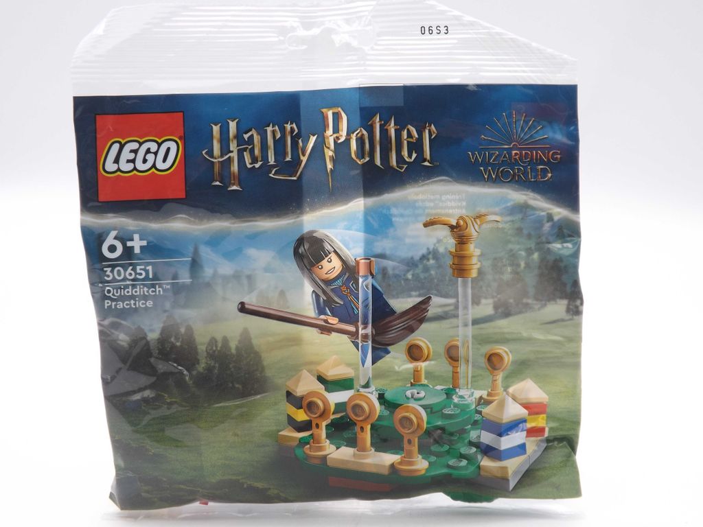 LEGO Harry Potter 30651 Quidditch Training