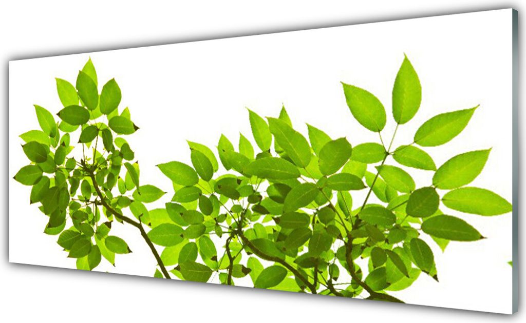 Acrylglasbilder 125x50 Wandbild Druck Zweige Blätter Produktbild 