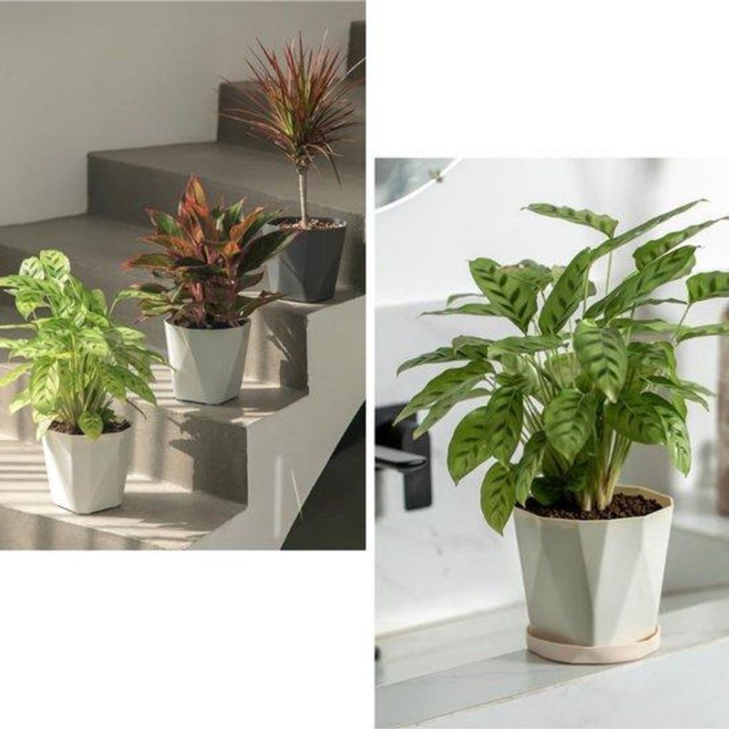 Dekorative Blumentöpfe 3er Set Kunststoff 13cm