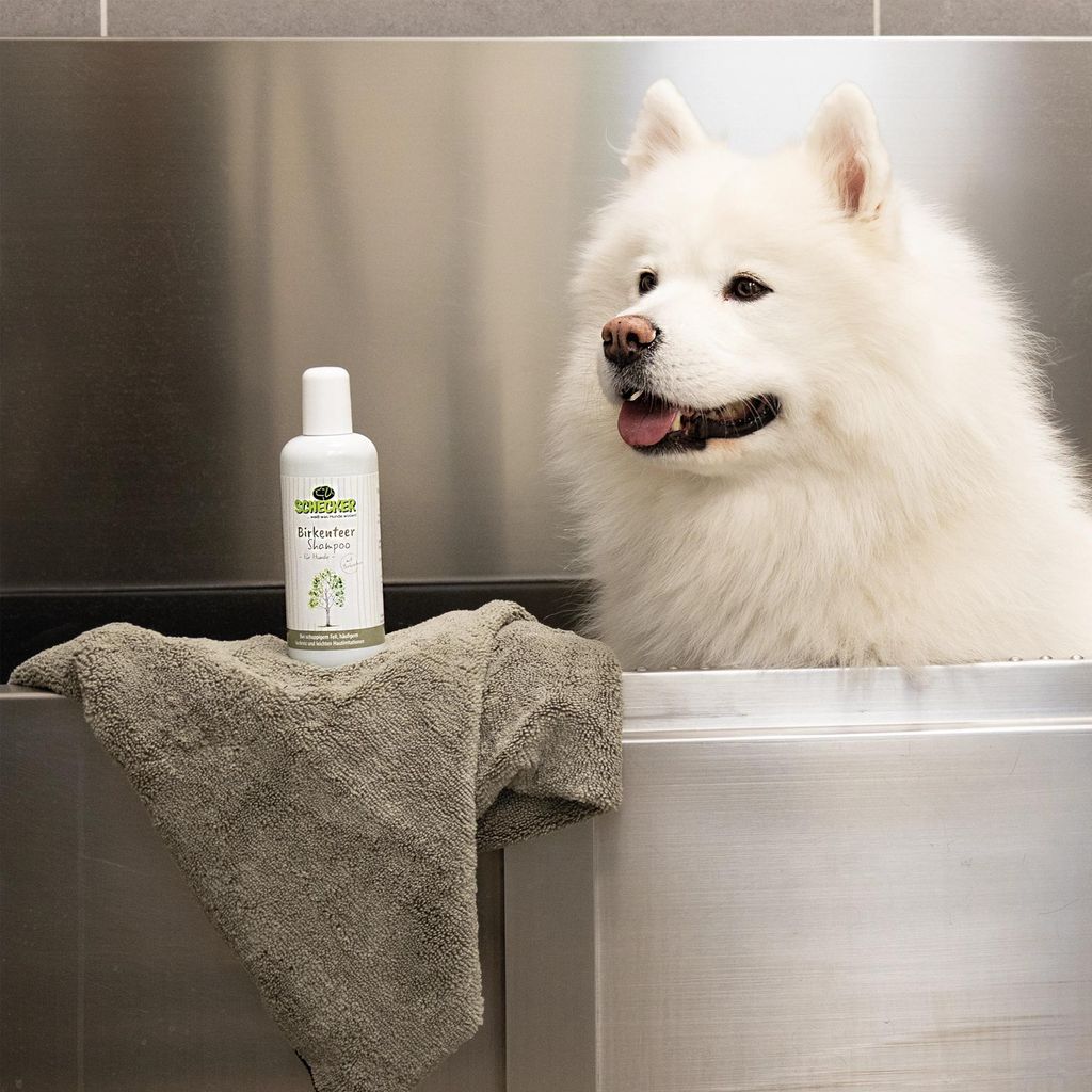 Schecker Birkenteer Shampoo Hundeshampoo gegen Schuppen und Juckreiz