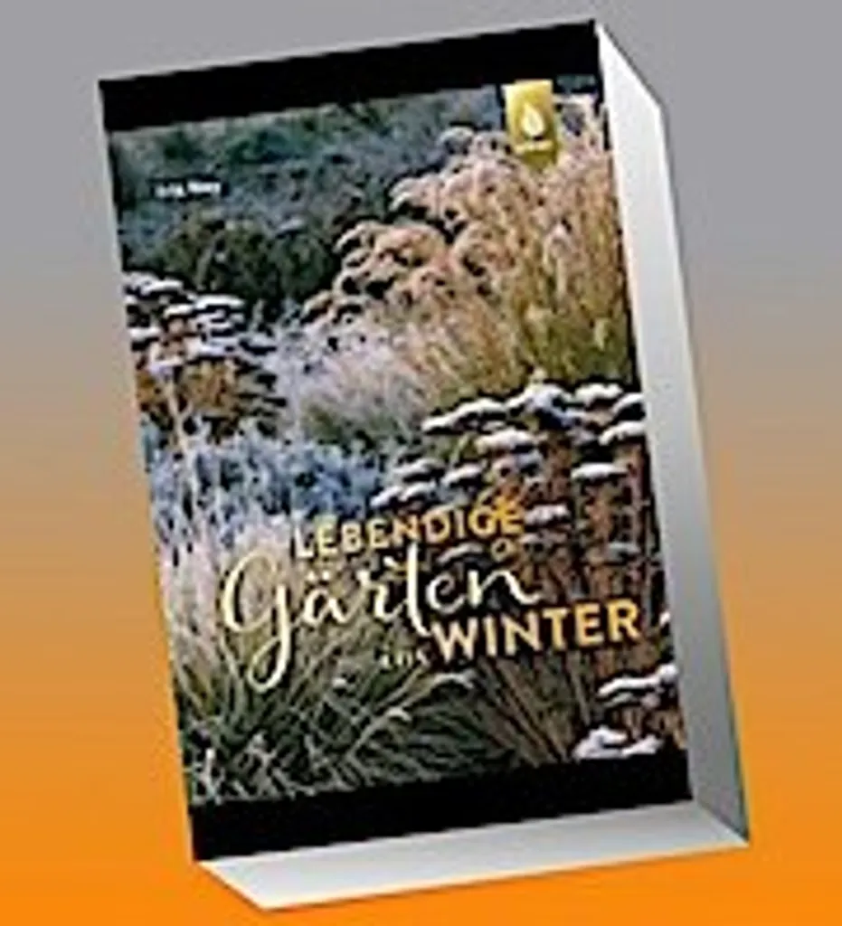 Jardin Vivant en Hiver : Guide illustré avec conseils de paysagistes