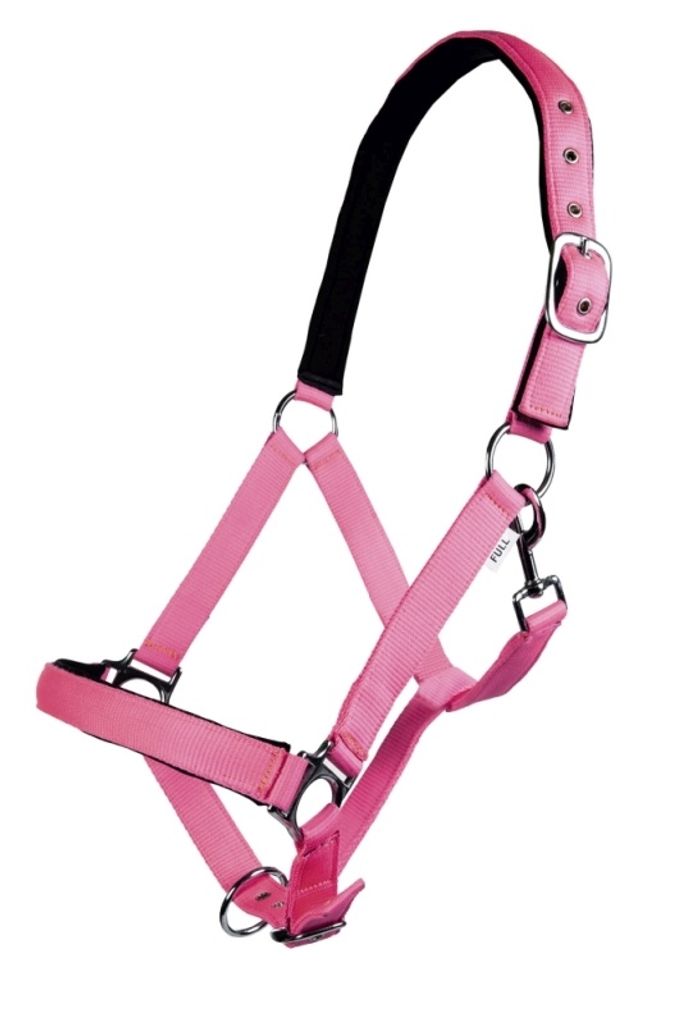 HKM Halfter Stars Softice weich unterlegt NEONGRÜN, Gr. Kaltblut