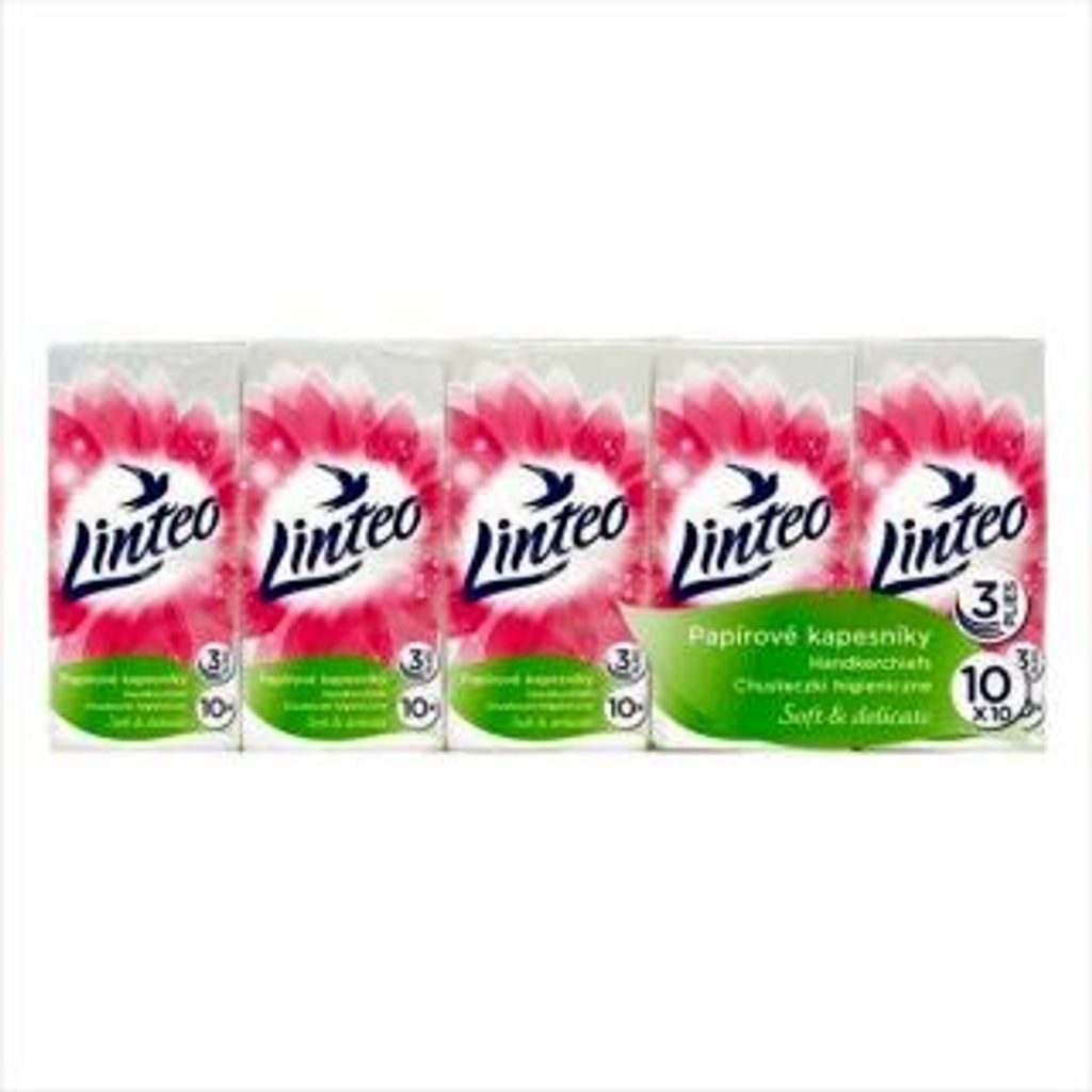 Linteo Chusteczki Higieniczne 3W Satin - 10X10 Opakowań - Zdjęcie produktu 