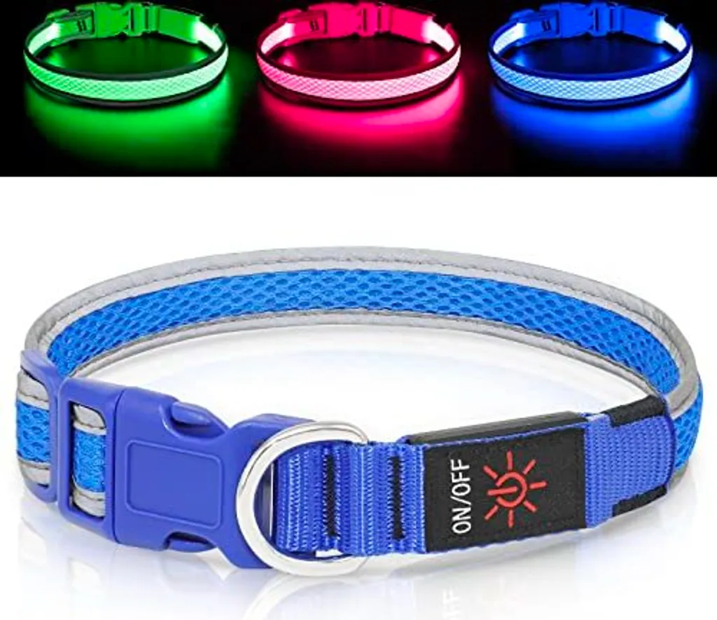 Collare Luminoso LED Cane Blu USB - Sicurezza Notturna Taglia M/L