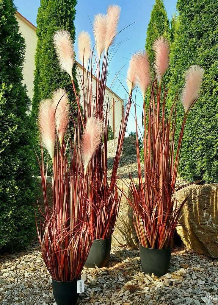 artplants.de Künstliches Pampasgras WERNHILD mit Rispen, Künstlichestopf, rot-braun, 90cm - Deko Pampasgras