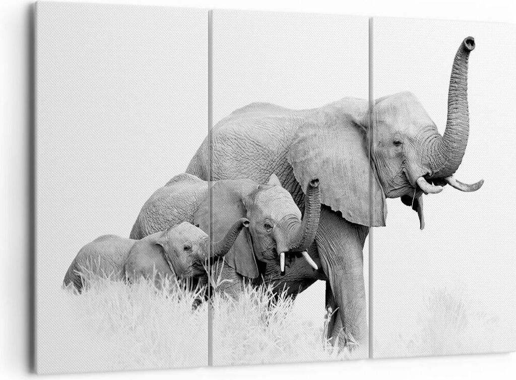 Bild auf Leinwand - Leinwandbild - 3 Teile - Elefanten Familie Schwarz und Weiß - 165x110cm Wand Bild Wanddeko Wandbilder Leinwanddruck Bilder Wan...
