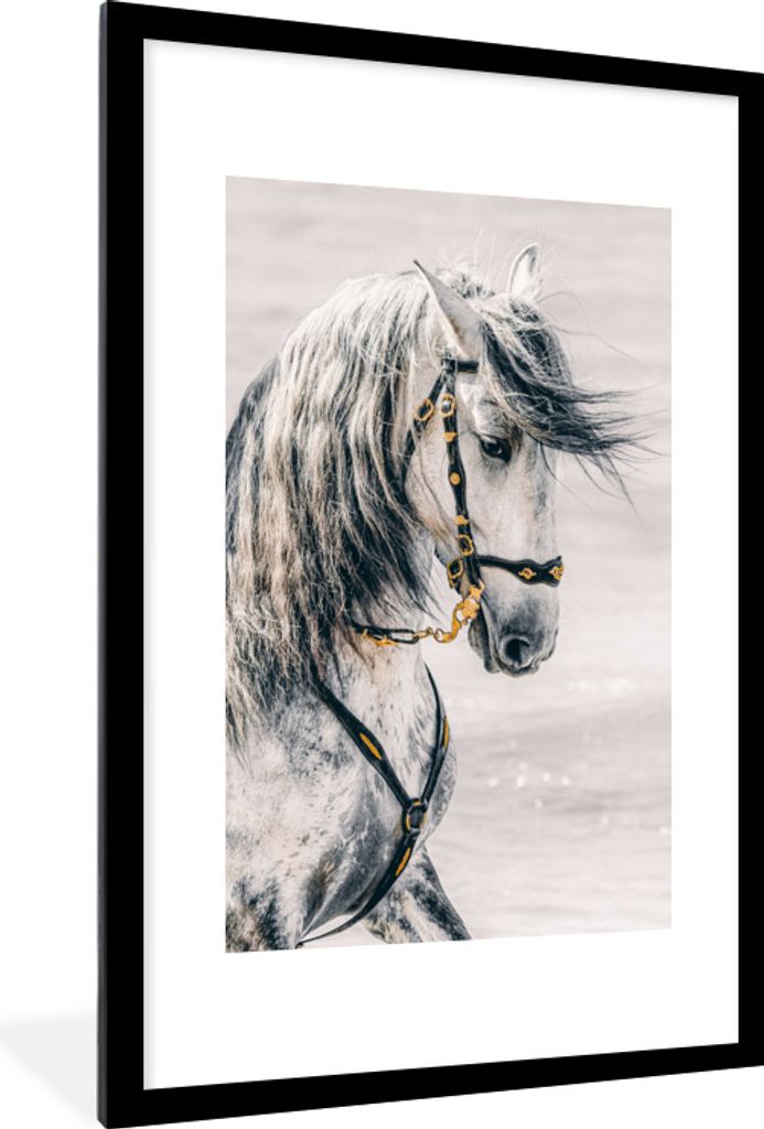MuchoWow MuchoWow Gerahmtes Poster Pferd - Gold - Halfter 60x90 cm - Poster mit zchwarzem Bilderrahmen - Dekoration - Wandposter Wohnzimmer - H...