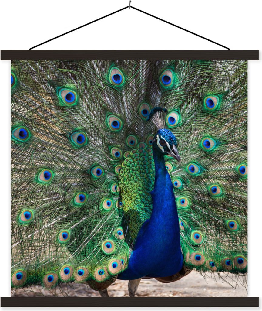 MuchoWow Textilposter Pfauenfedern - Grün - Blau 120x120 cm mit schwarzem Rahmen - Aufhängungsset