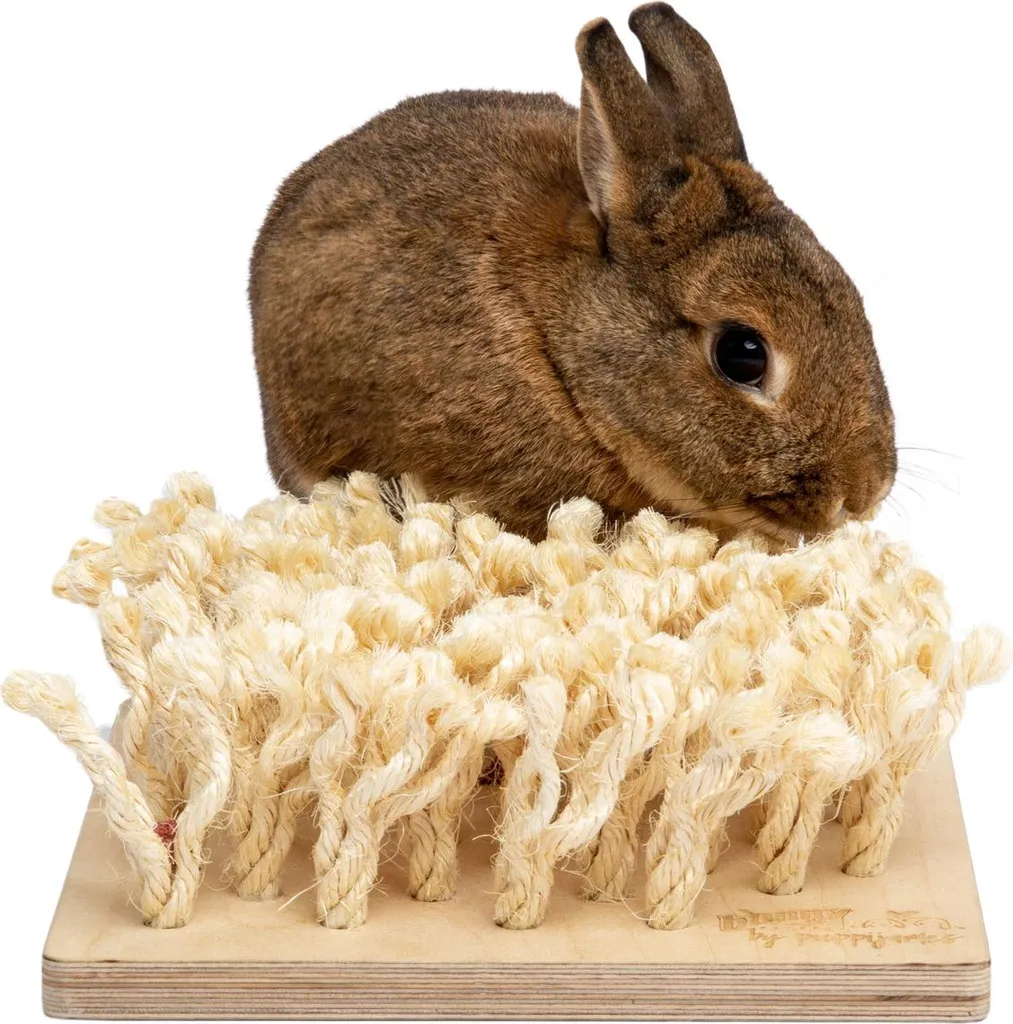 Planche à renifler Bunny : solution contre l'ennui du lapin nain - 4