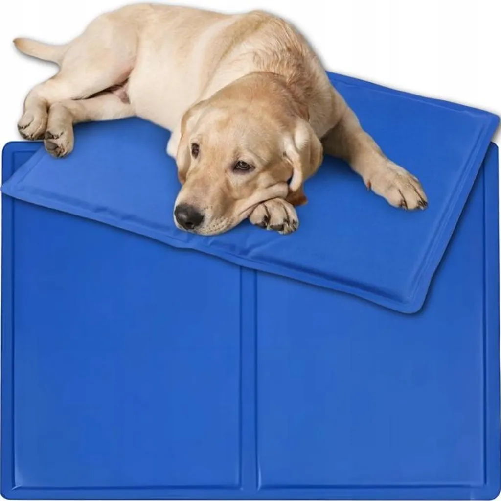 Letto Refrigerante Portatile per Cani e Gatti 40x30 | Travel Ready