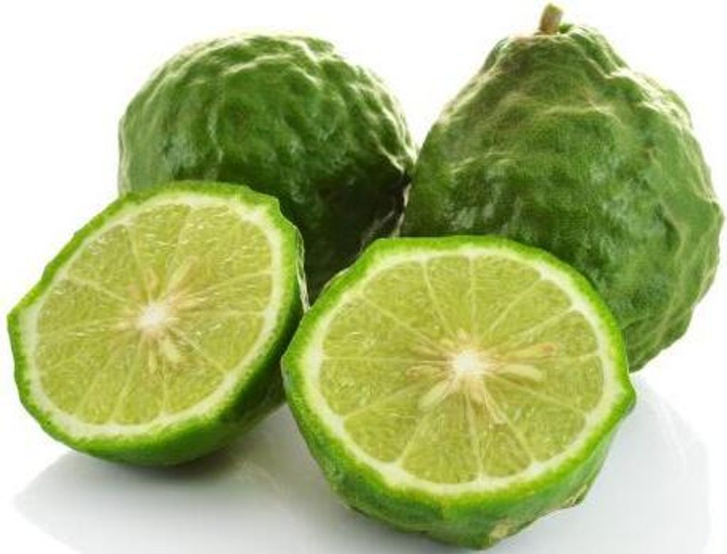 Kaffir-Limette 80 cm Stämmchen Citrus Hystrix, Produktbild 1