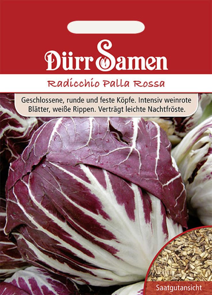 Dürr-Samen - Radicchio Palla Rossa - Saatgut - 0502 Produktbild 