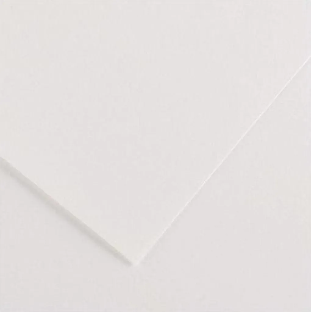 Set 25 Fogli Canson 200041187 Edition Carta 250g per Artisti