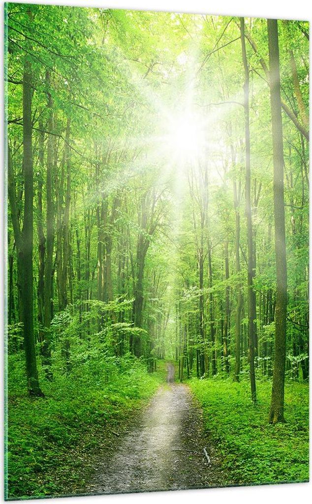 Bilder auf glas - Einteilig - Sonnenstrahlen Wald Sommer - 70x100cm - Glasbilder - Wandbilder - Bilder - Wanddekoration aus Glas - Glas Bilder - Wa...