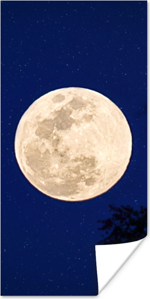 MuchoWow Poster Mond - Bäume - Nacht 40x80 cm - Dekoration