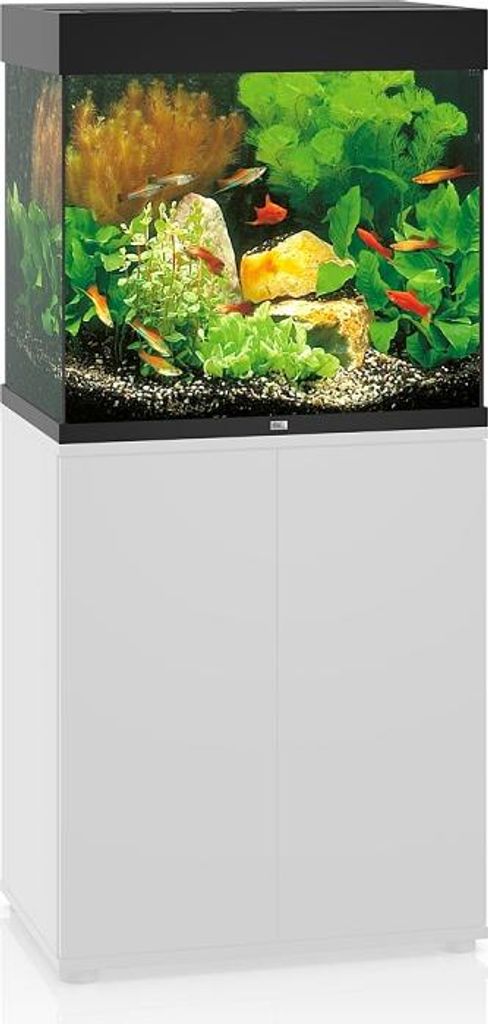 A black and white aquarium with fish and plants inside, placed on a white cabinet.
