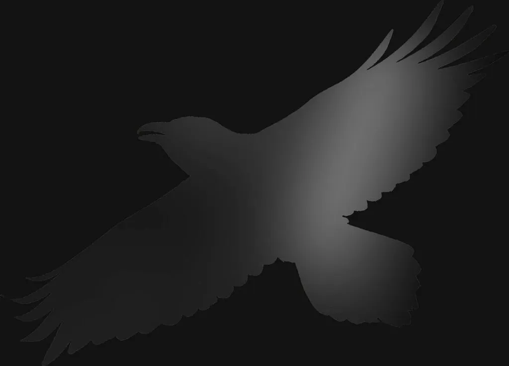 Vinyle Sigur Rós Odins Raven Magic 2 LP, Pour une Écoute Audiophile Zen