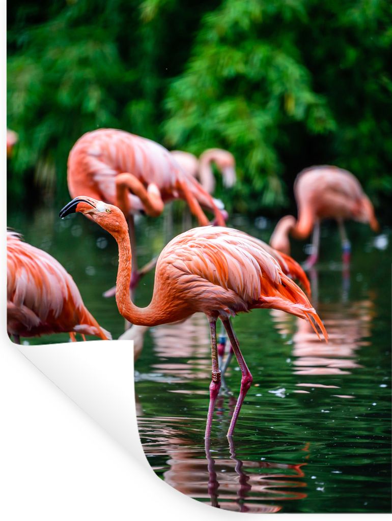 MuchoWow Wandtattoo Wandsticker Wandaufkleber Flamingo - Tropisch - Vogel - Wasser - Rosa 90x120 cm Selbstklebend und Repositionierbar - Faltenfrei