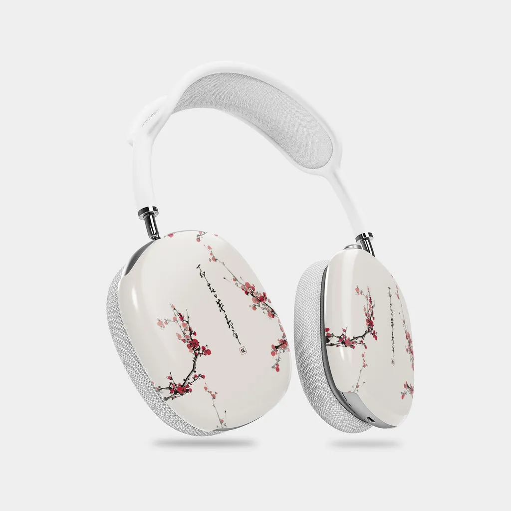 Custodia Protettiva AirPods Max: Il miglior rapporto Qualità/Prezzo