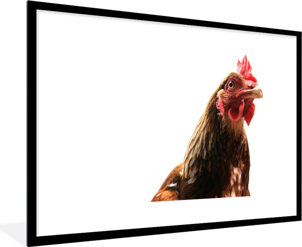 MuchoWow Gerahmtes Poster Hahn - Bauernhoftiere - Federn 90x60 cm - Poster mit Schwarzem Bilderrahmen Wandposter Rahmen Foto Bilder - Wanddekorat...