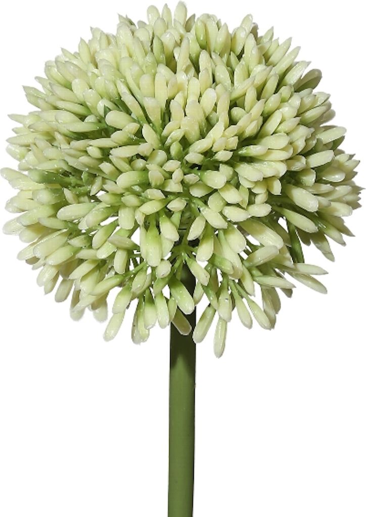 Kunstblume ALLIUM ca 44cm. Blütenkopf ca 6,5cm. WEISS-GRÜN