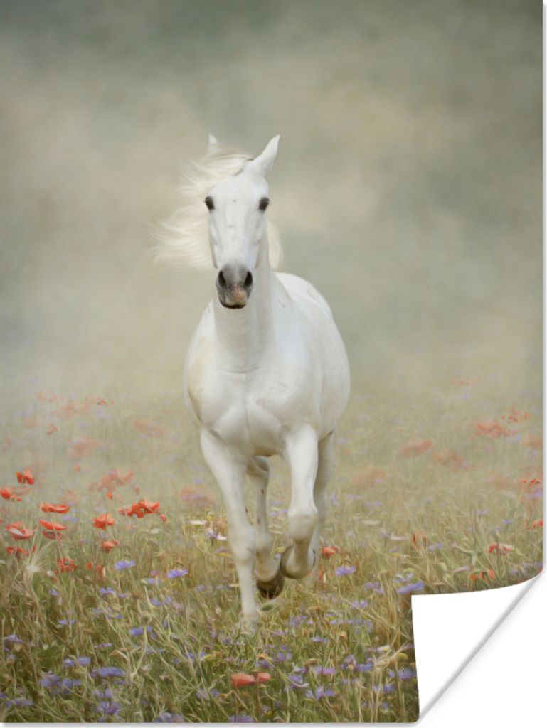 MuchoWow Poster Pferd - Stoff - Blumen 60x80 cm - Schlafzimmer Dekoration