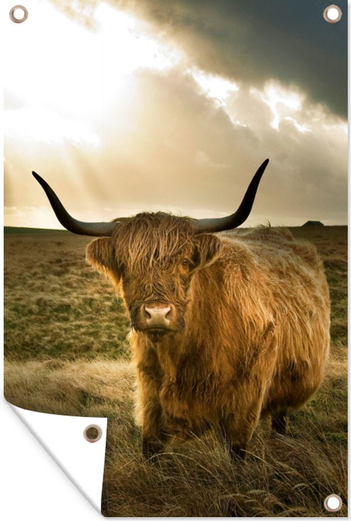 MuchoWow 80x120 cm Outdoor-Poster Gartendeko Sichtschutz Garten Poster für den Garten Schottischer Hochländer - Sonne - Tiere