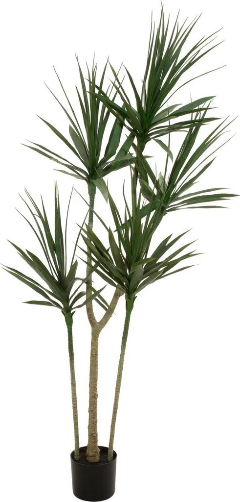 Plante Artificielle Dracena 170cm : Fini les Plantes Mortes chez Vous