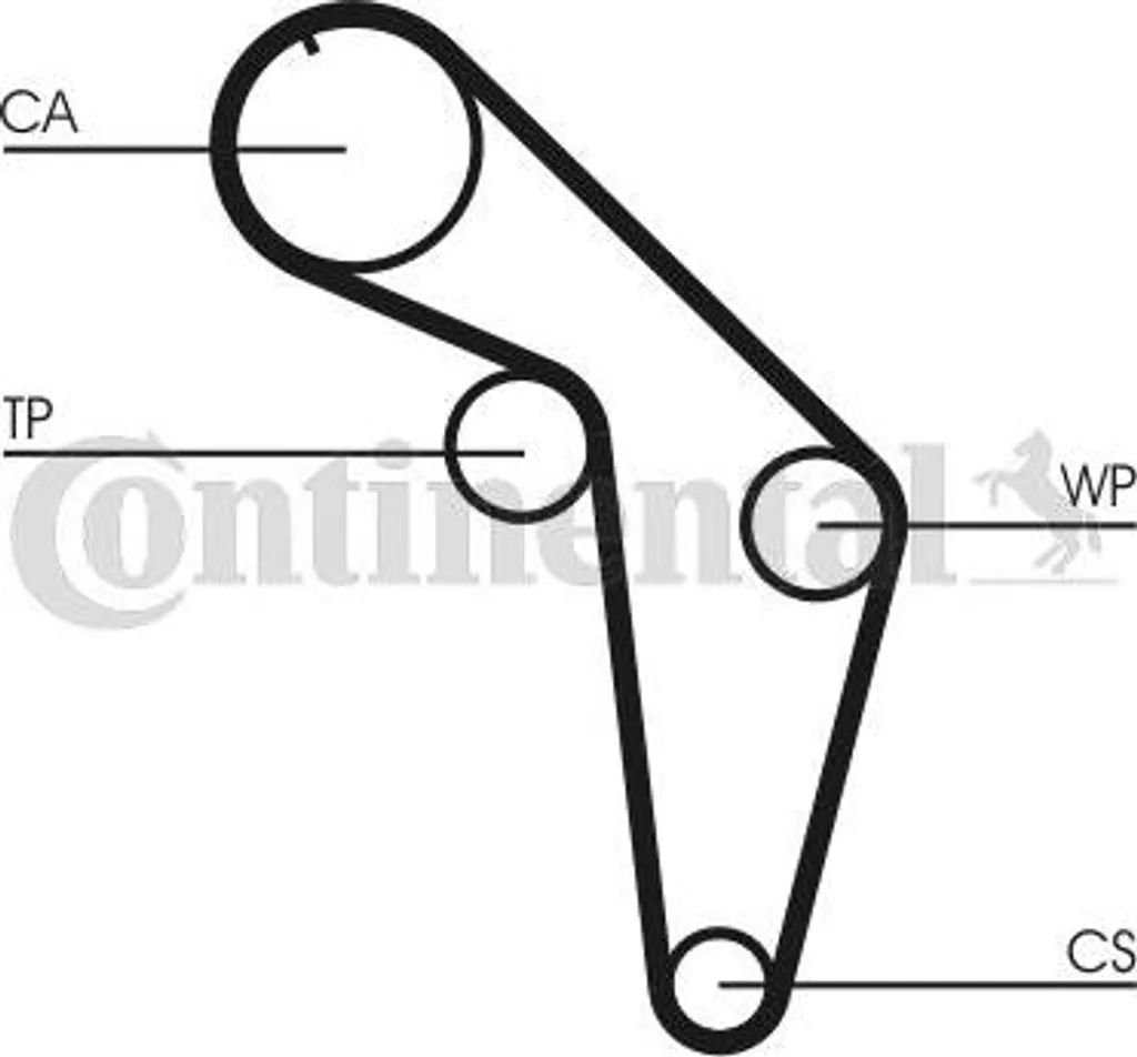 Courroie de rechange Continental CT926 Audi A6 4A - Entretien Moteur