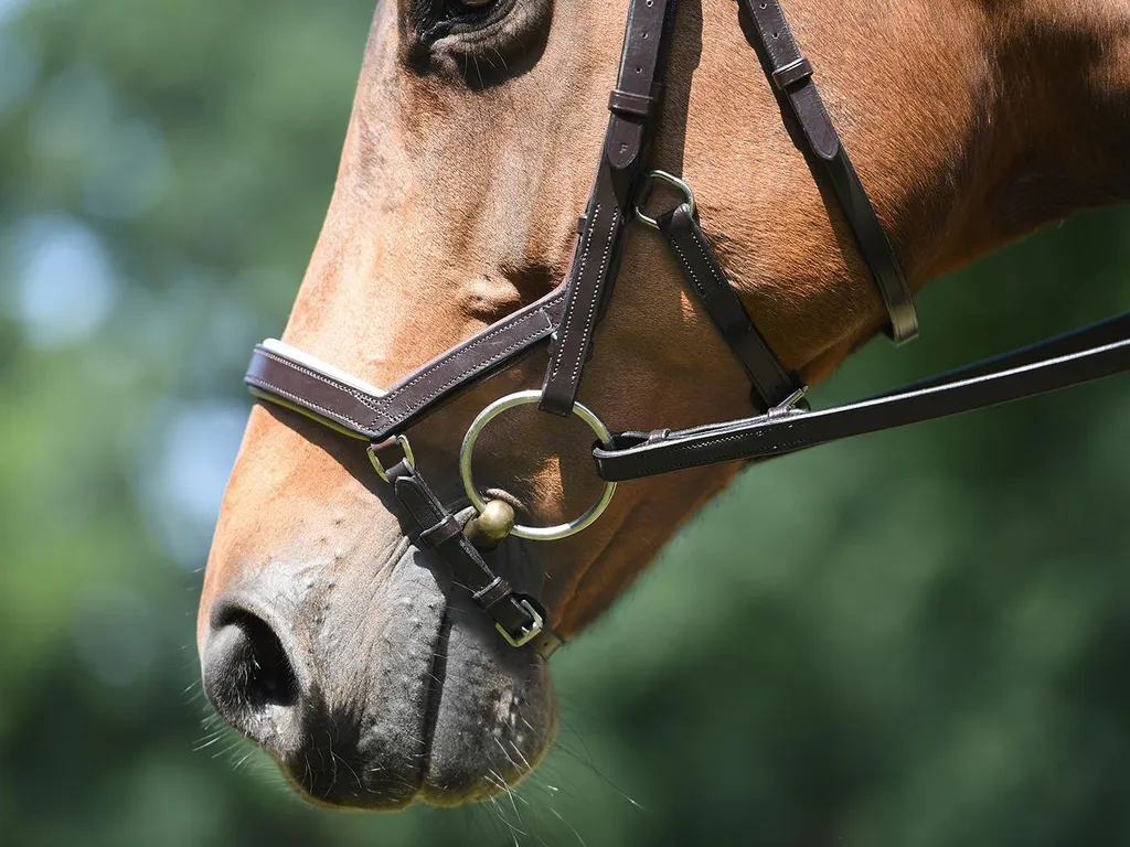 Filet de Cheval en Cuir avec Muserolle Combinée et Strass Argent BUSSE - 2