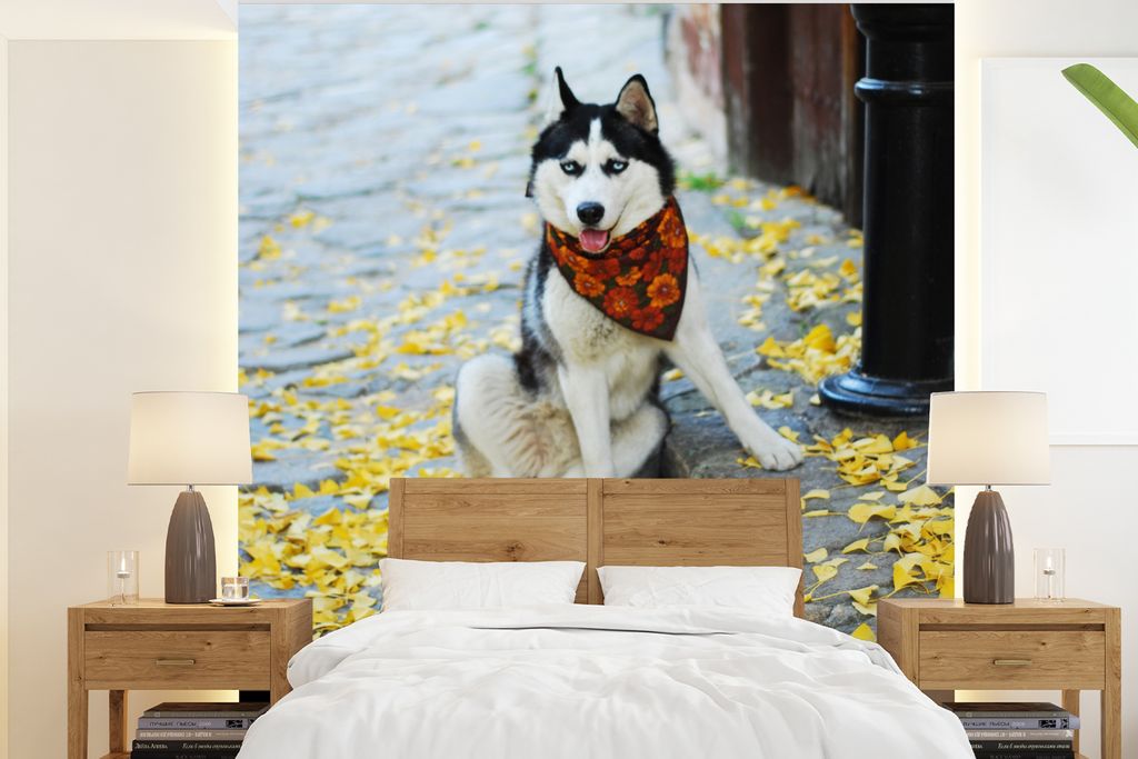 MuchoWow Fototapete für Wohnzimmer oder Schlafzimmer Wandtapete Vinyl Motivtapete Hund - Herbst - Husky - 200x220 cm - Vinyltapeten