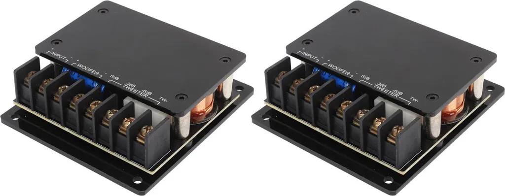2 Filtres Audio 120W avec Protection Surtension - Diviseur Fréquence 2 Voies