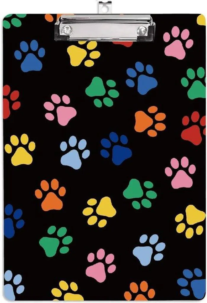 Support A4 acrylique anti-casse pour affichage ludique et durable école