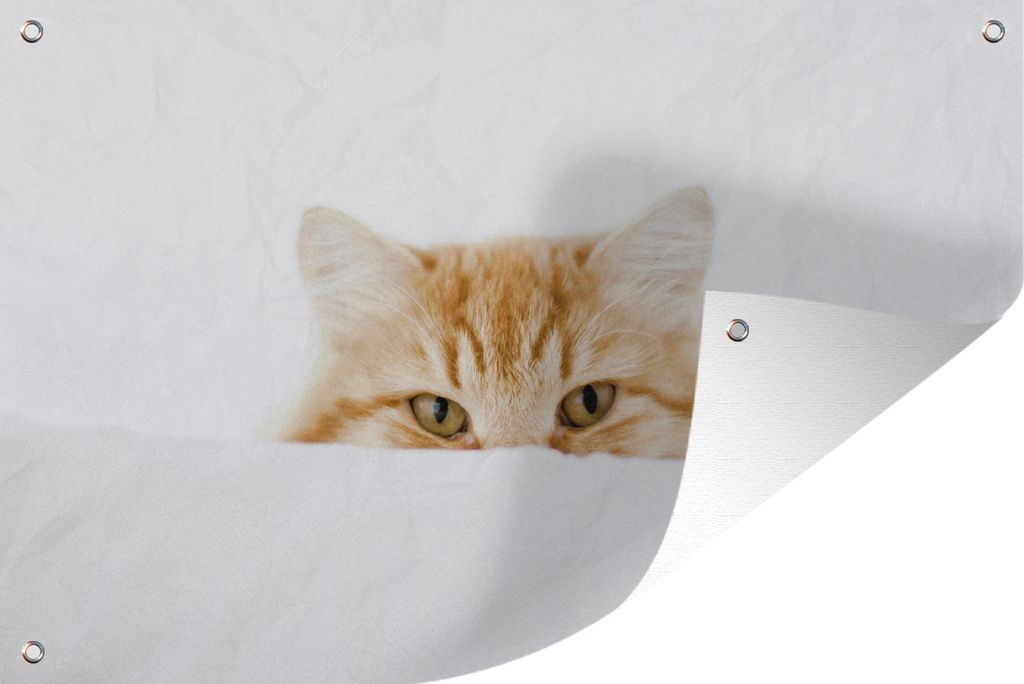 MuchoWow 120x80 cm Outdoor-Poster Gartendeko Sichtschutz Garten Poster für den Garten Katze - Rot - Weiß - Mädchen - Jungen - Kind