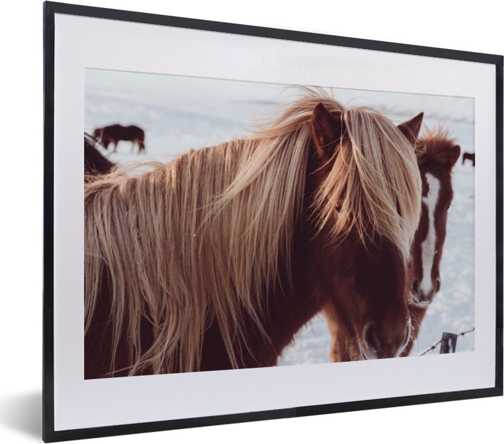 MuchoWow MuchoWow Gerahmtes Poster Pferde - Schnee - Braun 40x30 cm - Poster mit zchwarzem Bilderrahmen - Bilderrahmen - Poster im Rahmen