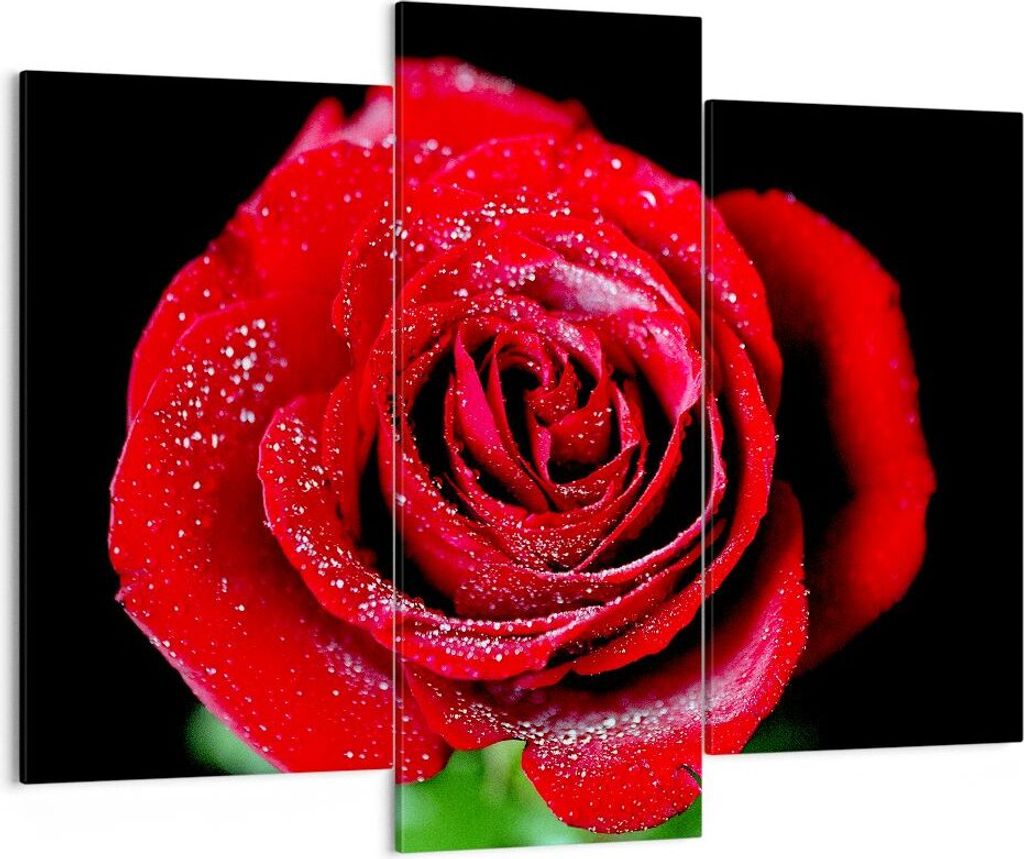 Bild auf Leinwand - Leinwandbild - Rose Blume Blütenblätter Wasser - 130x100cm - Wand Bild - Wanddeko - Leinwanddruck - Bilder - Kunstdruck - Lei...