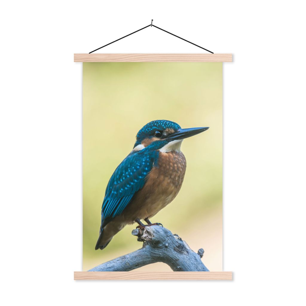 MuchoWow Textilposter Eisvogel - Zweig - Vogel 60x90 cm mit holzfarbenen Rahmen - Textil