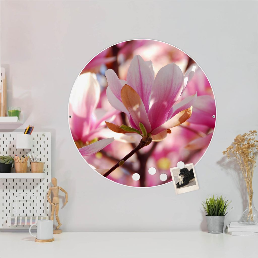 Design Stahlmagnettafel Weiß Rund 47cm Magnolia