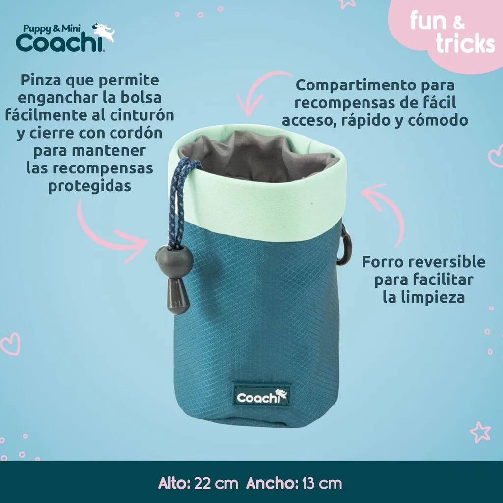 Pettorina Coachi: Stile e Comfort per le Tue Avventure Urbane a 4 Zampe