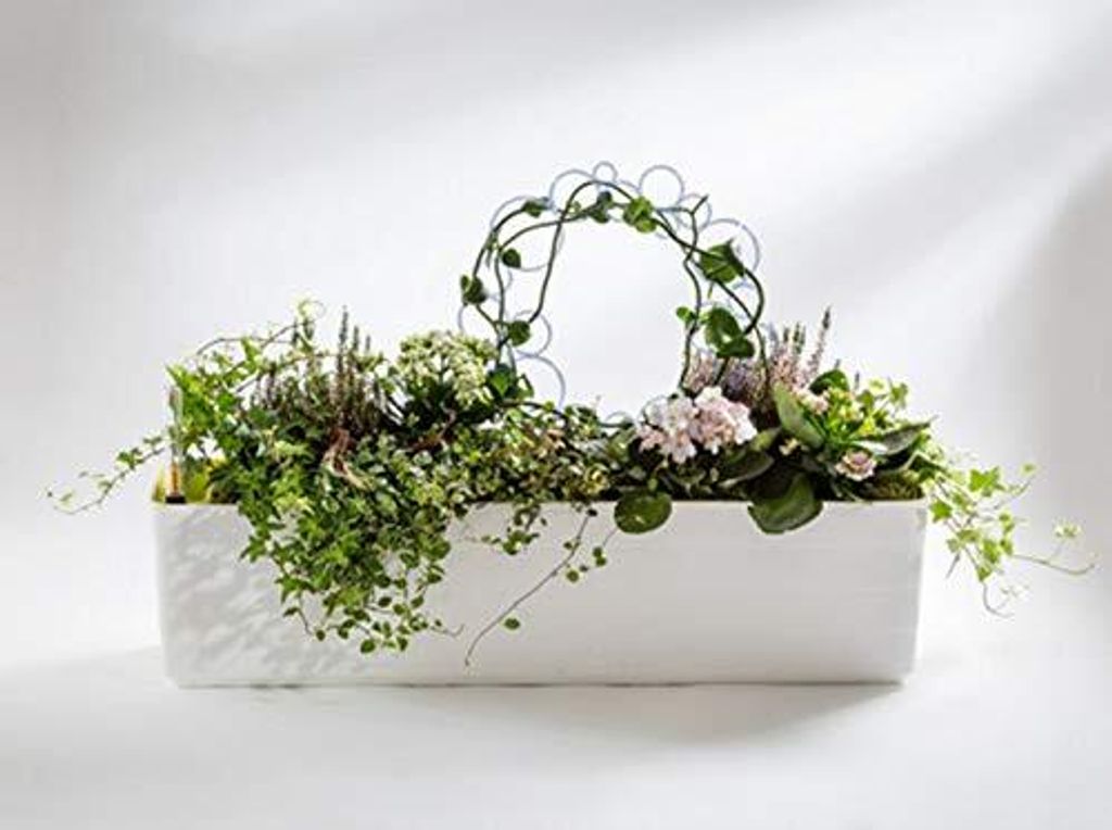 Berberis Blumenkasten Pflanzkasten mit Bewässerungssystem Produktbild 