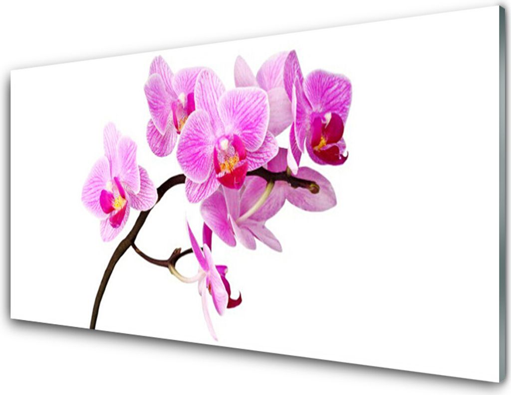 Küchenrückwand aus Glas 100x50cm Spritzschutz Blumen Pflanzen