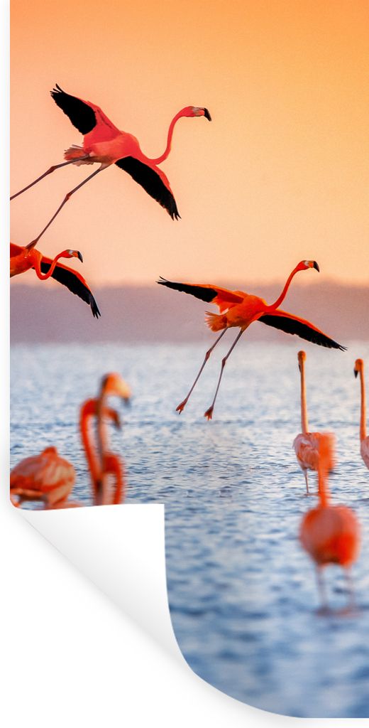 MuchoWow Wandtattoo Wandsticker Wandaufkleber Vogel - Flamingo - Wasser - Sonnenuntergang - Rosa 40x80 cm Selbstklebend und Repositionierbar - Re...