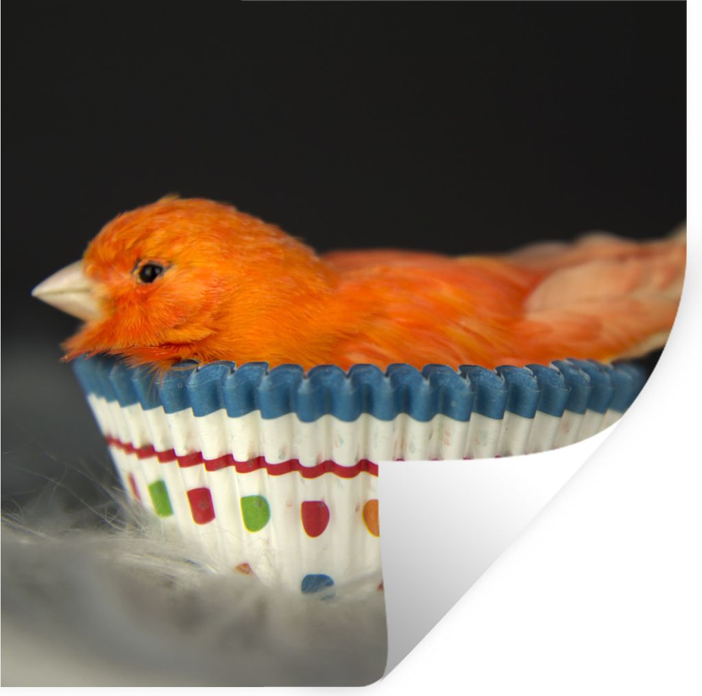 MuchoWow Wandtattoo Wandsticker Wandaufkleber Vogel - Muffinförmchen - Portrait 30x30 cm Selbstklebend und Repositionierbar