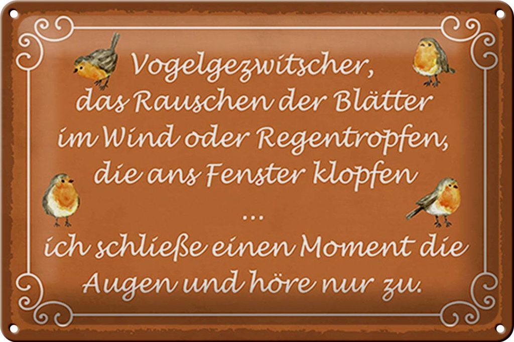 Blechschild Spruch 30x20cm Vogelgezwitscher Vogel