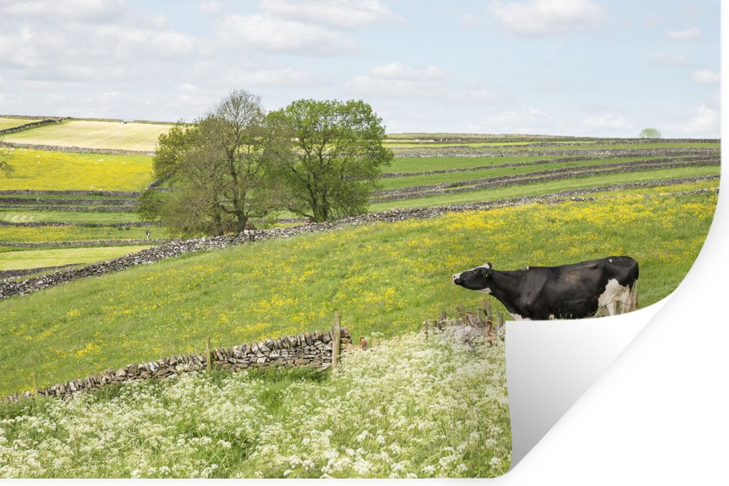 MuchoWow - Wierderverwendbar - Selbstklebend