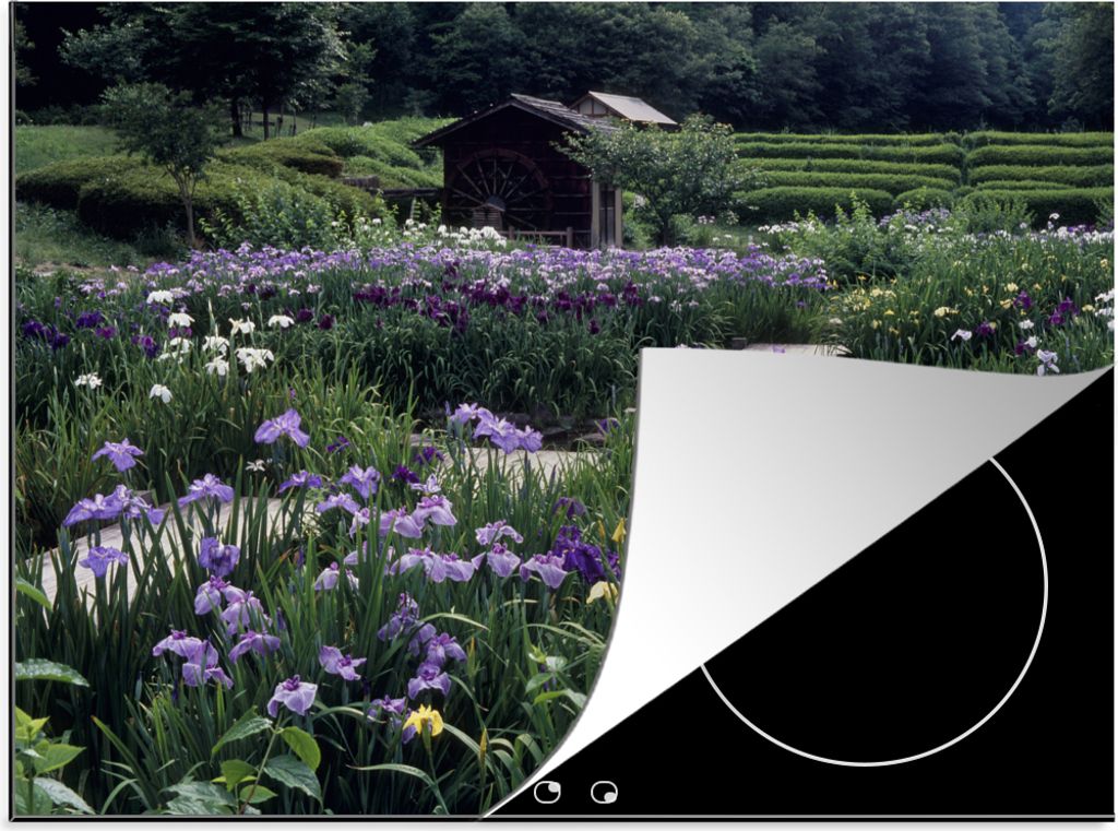 KitchenYeah Herdabdeckplatte Japanische Schwertlilienblüten - Garten - Pfad , 71x52cm, Küche Deko, Glaskeramikfeld Herdabdeckung, Abdeckplatte ...