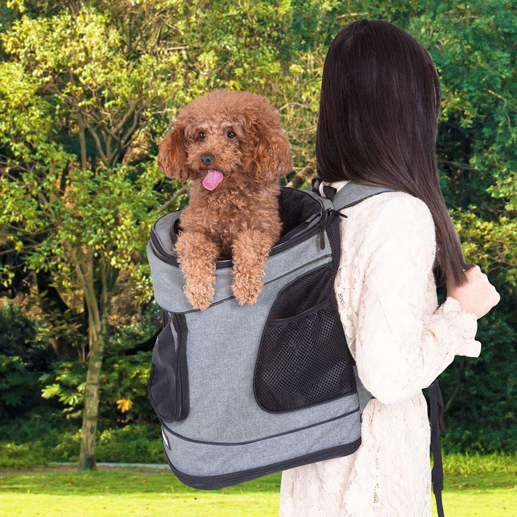Erweiterbarer Rucksack für Katzen und Hunde bis 8 kg – großer faltbarer  Rucksack mit interner Sicherheitsleine und 2 Haustiermatten – Streifen