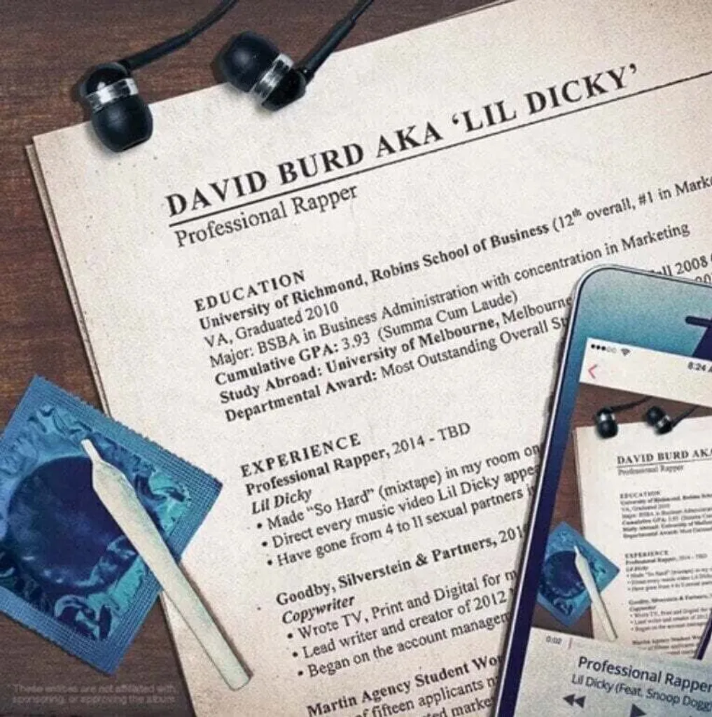 Lil Dicky Professional Rapper 2 LPs : Le Vinyle Indispensable à avoir