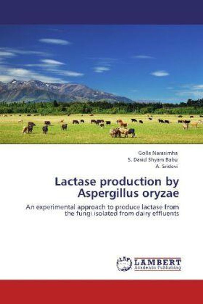 Narasimha, G: Lactase production by Aspergillus oryzae